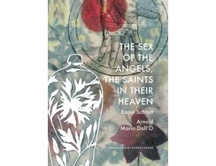 Book Cover The Sex of the Angels, the Saints in Their Heaven