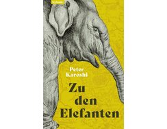 Zu den Elefanten