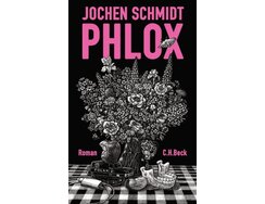 phlox