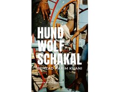 Hund Wolf Schakal