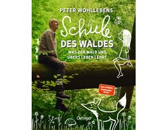 Cover Kinderbuch Schule des Waldes