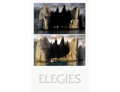 Cover Elegies
