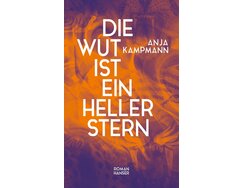 Cover Die Wut ist ein heller Stern