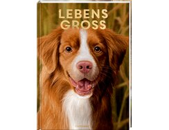 Cover Hunde Lebensgroß