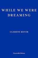 While We Were Dreaming Cover