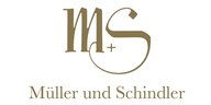 MS Logo