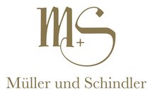 MS Logo